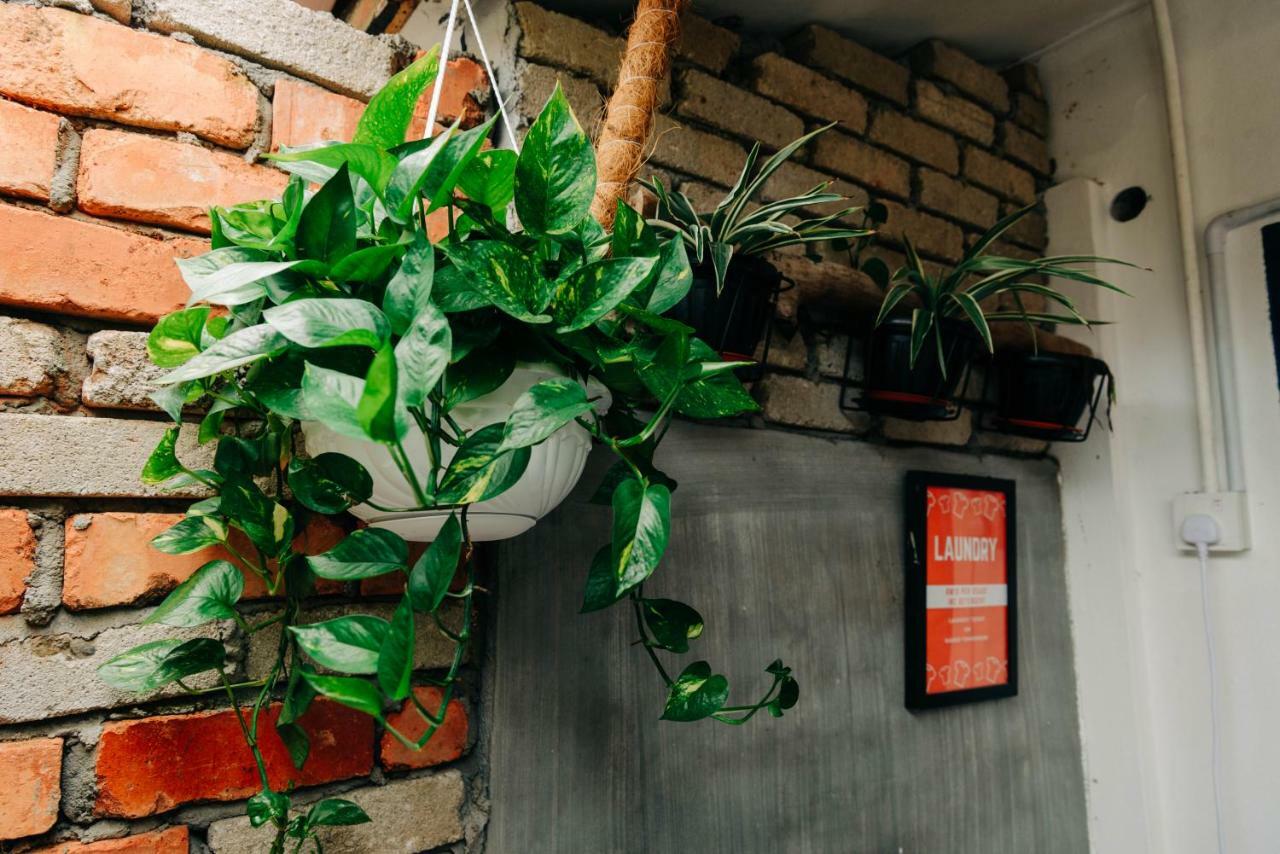Rembulan Langkawi Guesthouse Пантай Ченанг Екстериор снимка